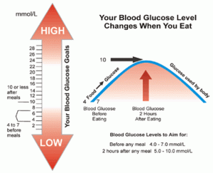 Normal Glucose Level in Blood