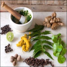 natural herbs for diabetes